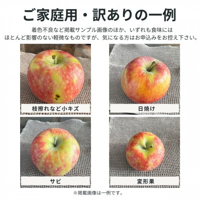 生産農家直送 長沼りんご サンふじ(ご家庭用)5kg 栽培期間中化学肥料・除草剤不使用