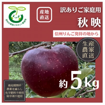 生産農家直送 信州りんご発祥の地・長沼りんご 秋映(訳ありご家庭用)5kg