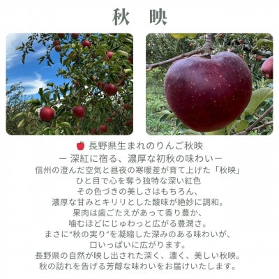 生産農家直送 信州りんご発祥の地・長沼産 長沼りんご 秋映(訳ありご家庭用) 3kg サイズミックス