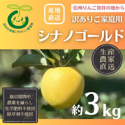 生産農家直送 信州りんご発祥の地・長沼りんご シナノゴールド(訳ありご家庭用)3kg