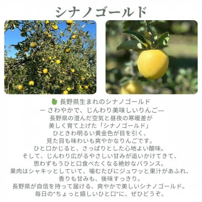生産農家直送 信州りんご発祥の地・長沼りんご シナノゴールド(訳ありご家庭用)3kg