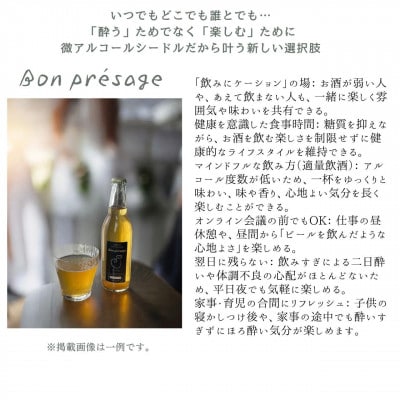 微アルコールシードル ボンプレサージュ330ml×6本 無添加・無濾過・非加熱低温発酵の発酵サイダー