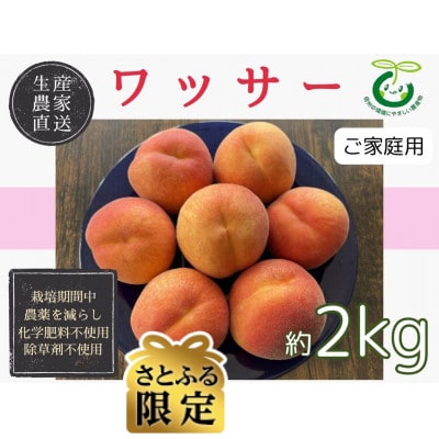 【さとふる限定】生産農家直送 ワッサー 2kg(家庭用)栽培期間中農薬を減らし化学肥料・除草剤不使用