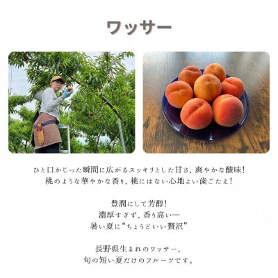 【さとふる限定】生産農家直送 ワッサー 2kg(家庭用)栽培期間中農薬を減らし化学肥料・除草剤不使用