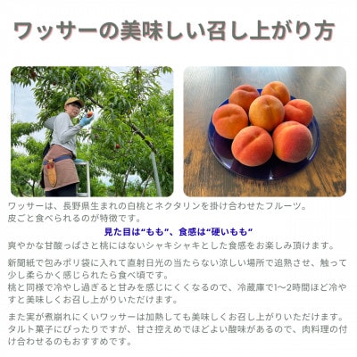 【さとふる限定】生産農家直送 ワッサー 2kg(家庭用)栽培期間中農薬を減らし化学肥料・除草剤不使用
