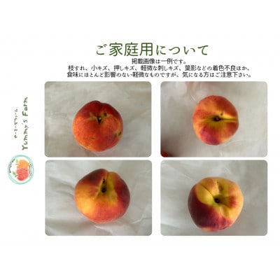【さとふる限定】生産農家直送 ワッサー 2kg(家庭用)栽培期間中農薬を減らし化学肥料・除草剤不使用