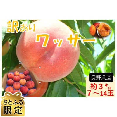 【さとふる限定】フルーツ果物王国　長野県信州直送　ワッサー  【訳あり】【家庭用】　2027年発送