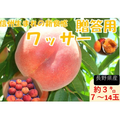 【2026年発送】フルーツ果物王国　長野県信州直送ワッサー【秀品】【贈答品】7月下旬頃発送開始予定
