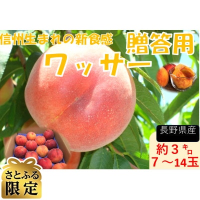 【さとふる限定】フルーツ果物王国　長野県信州直送　ワッサー【秀品】【贈答品】　2027年発送