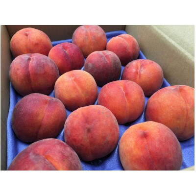 【2026年発送】フルーツ果物王国　長野県信州直送　ワッサー　【秀品】【贈答品】