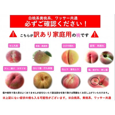 【2026年発送】【長野県】【白桃】【家庭用】【訳あり】品種おまかせ2kg (4～10玉)