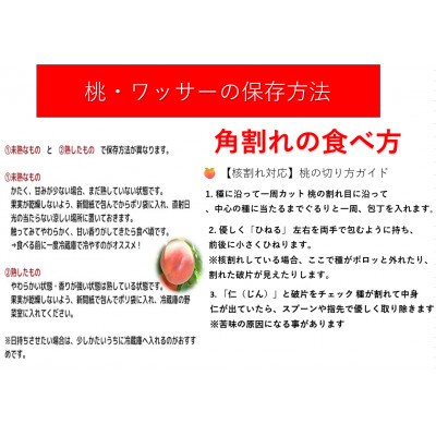 【2026年発送】【長野県】【白桃】【家庭用】【訳あり】品種おまかせ2kg (4～10玉)