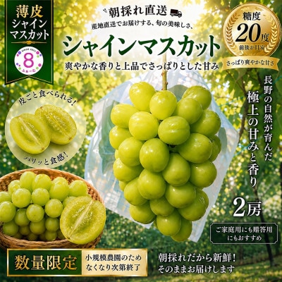 薄皮でパリッ!大粒シャインマスカット2房(約1～1.2kg)　8ふぁーむ