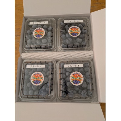 ブルーベリーミックス 計500g