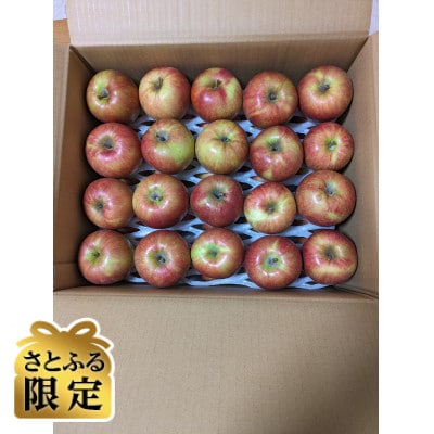 【さとふる限定】信州産サンつがる 5kg(16～20玉)