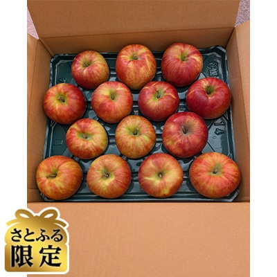 【さとふる限定】信州産サンつがる 5kg(16～20玉)