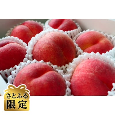 【さとふる限定】【訳あり】長野の夏を彩る極上の甘み　完熟あかつき桃 2kg(約6～8玉)