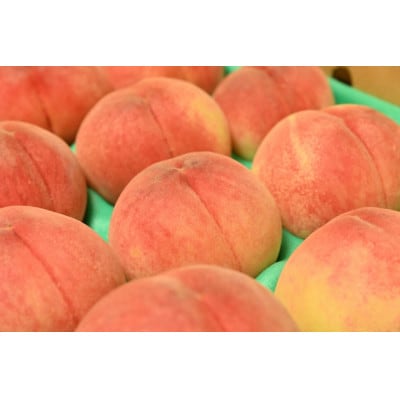 【さとふる限定】【訳あり】長野の夏を彩る極上の甘み　完熟あかつき桃 2kg(約6～8玉)