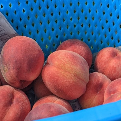 【数量限定】長野の夏を味わう2種桃おまかせ家庭用セット2kg(冷蔵便)