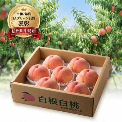 優良生産者表彰 白根白桃　2kg(6～8玉)