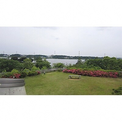 【数量限定】手賀沼花火大会アビスタ屋上観覧席(ペア椅子席)+我孫子市お土産セット【お菓子】