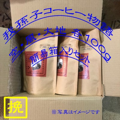 中挽き『我孫子コーヒー物語　空・風・大地』各100g/合計300g入りセット