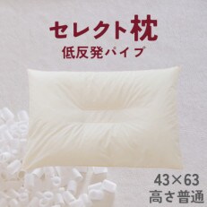 セレクト枕　低反発パイプ　中央くぼみタイプ　普通　シングル　43×63cm