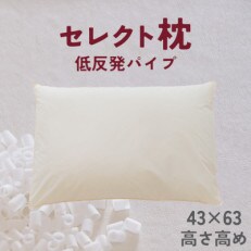 セレクト枕　低反発パイプ　標準タイプ　高め　シングル　43×63cm | ふるさと納税のお礼品