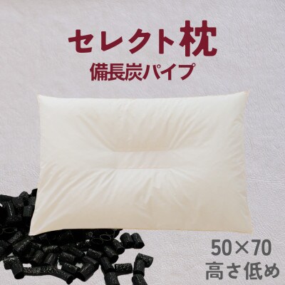 セレクト枕 備長炭パイプ 中央くぼみタイプ 低め(50×70cm)