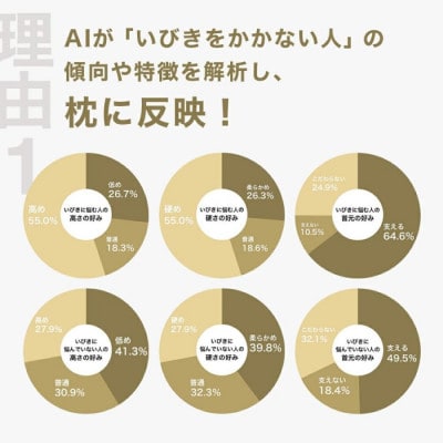 いびきに悩む人向け枕 THE PILLOW Preset 01 Ibiki