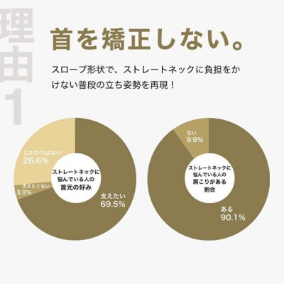 ストレートネックに悩む人向け枕 THE PILLOW Preset 03 Straight Neck