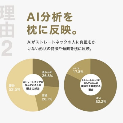 ストレートネックに悩む人向け枕 THE PILLOW Preset 03 Straight Neck