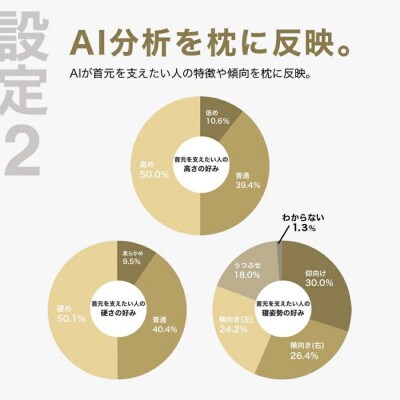 首を支える形状が好みの人向け枕 THE PILLOW Preset 04 Neck Support