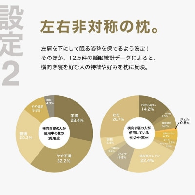 左肩下の横向き寝を好む人向け枕 THE PILLOW Preset 08 Yokomuki(L)
