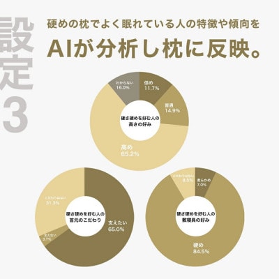 硬さ硬めの枕を好む人向け枕 THE PILLOW Preset 12 Katame