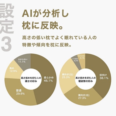 低い枕を好む人向け枕 THE PILLOW Preset 13 Hikume