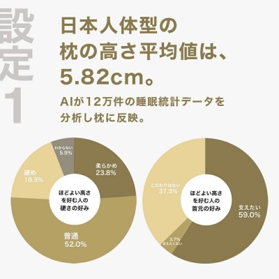 ほどよい高さの枕を好む人向け枕 THE PILLOW Preset 14 HodoyoiTakasa