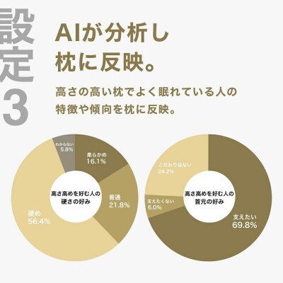 高い枕を好む人向け枕 THE PILLOW Preset 15 Takame
