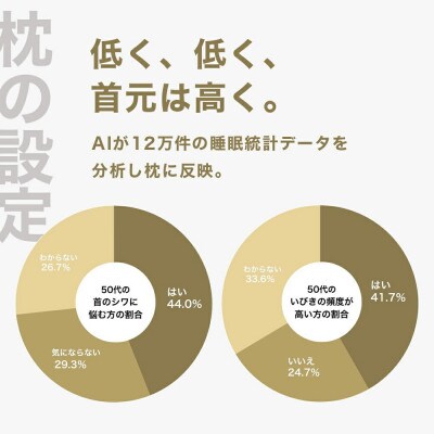 50代向けの枕 THE PILLOW Preset 20 50s