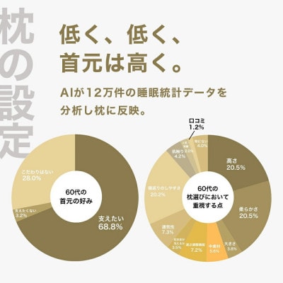 60代向けの枕 THE PILLOW Preset 21 60s