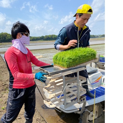利根川の水で作った旨味たっぷりのコシヒカリ精米 5kg
