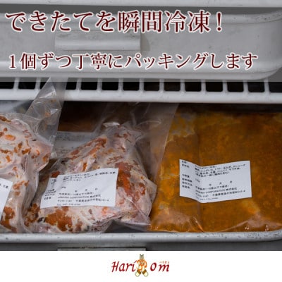 本格インドカレー屋のゴマナン 180g×5枚
