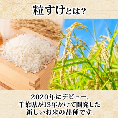 【新米 令和8年産】千葉県産 粒すけ ちばエコ農産物 10kg(5kg×2袋)