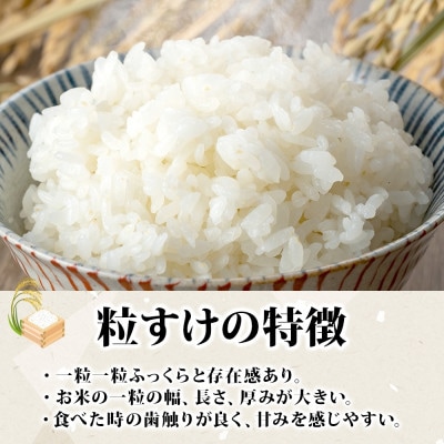 【新米 令和8年産】千葉県産 粒すけ ちばエコ農産物 10kg(5kg×2袋)