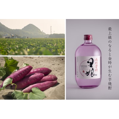 本格芋焼酎 鳴門金時里娘 2本