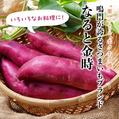 【先行受付中・2026年9月下旬頃より順次発送】なると金時 3kg