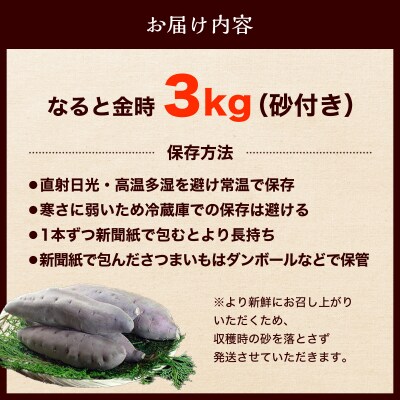【先行受付中・2026年9月下旬頃より順次発送】なると金時 3kg
