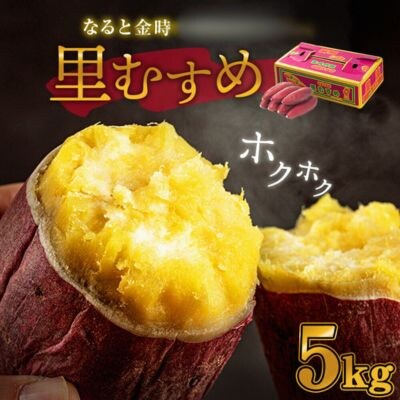 【先行受付中・2026年9月下旬頃より順次発送】なると金時(里むすめ)5kg