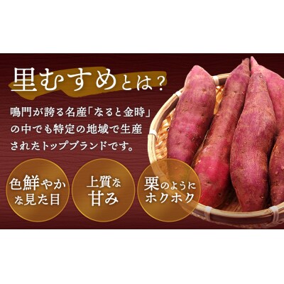 【先行受付中・2026年9月下旬頃より順次発送】なると金時(里むすめ)5kg