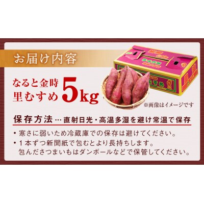 【先行受付中・2026年9月下旬頃より順次発送】なると金時(里むすめ)5kg
